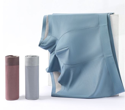 [SM1001] AA05SM1001  100支撞色蠶絲莫代爾男內褲